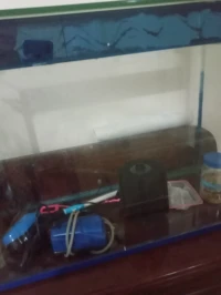 Aquarium 