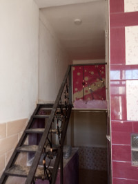 appartement-location-f2-ain-defla-miliana-algerie