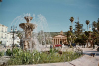 carcasse-vente-tipaza-cherchell-algerie