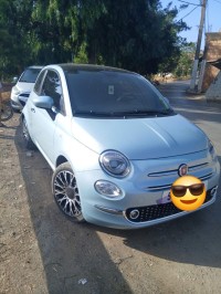 سيارات-fiat-500-2024-فيات-المدية-الجزائر
