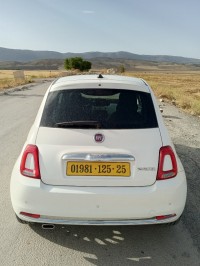 سيارات-fiat-500-2025-قسنطينة-الجزائر