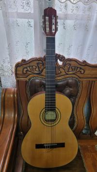 Guitare paul beustcher