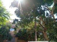 Vente Appartement F3 Alger Ain taya