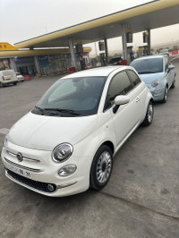 voitures-fiat-500-2024-dolcevita-dz-kolea-tipaza-algerie