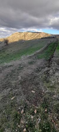 terrain-vente-setif-bougaa-algerie