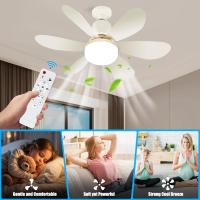 تمليس-و-فراشي-شعر-lustre-et-ventilateur-de-plafond-ثريا-بمروحة-الجزائر-وسط