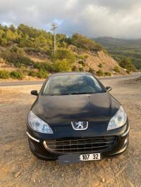 سيارات-peugeot-407-2007-البيض-الجزائر