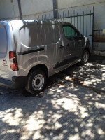 utilitaire-fiat-professional-doblo-2024-beni-rached-chlef-algerie