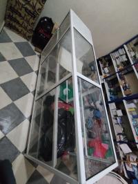 تجارة-التجزئة-presentoir-vitrine-magasin-فلفلة-سكيكدة-الجزائر