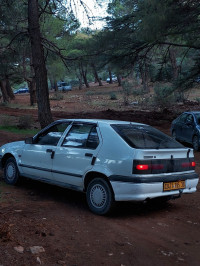 voitures-renault-19-1995-bordj-bou-naama-tissemsilt-algerie