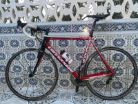 velos-velo-course-kolea-tipaza-algerie