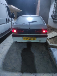 voitures-renault-19-1994-blida-algerie