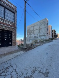 أرض-بيع-تلمسان-المنصورة-الجزائر