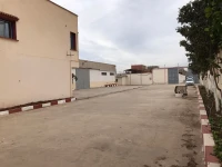 Location Hangar Boumerdès Hammedi
