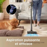 Aspirateur Balai Sans Fil 22.2 V | CROWN
