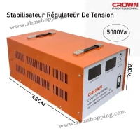 Stabilisateur Régulateur De Tension 5000Va | CROWN