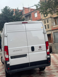 fourgon-fiat-ducato-2024-setif-algerie