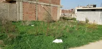 Vente Terrain Blida Ouled selama