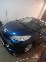 citadine-peugeot-207-2006-hassi-bahbah-djelfa-algerie