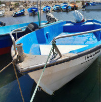 bateaux-rigide-tohatsou-40-cv-palma-mrine-535-2023-bordj-el-bahri-alger-algerie