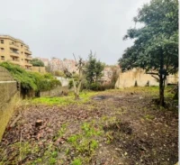 Vente Villa Alger El biar