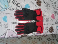 Veste moto plus les gants