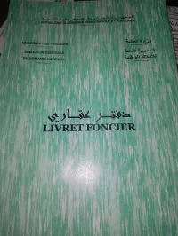 Vente Terrain Blida Ouled el alleug