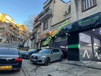 reparation-auto-diagnostic-nettoyage-catalyseur-dpf-admission-egr-decalaminage-chevalley-alger-algerie