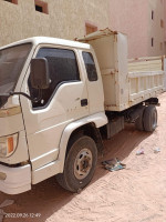 camion-foton-forland-2018-ouargla-algerie