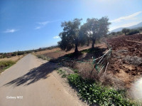 terrain-vente-bouira-el-adjiba-algerie