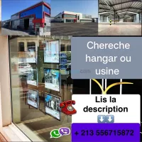 Cherche location Hangar - Usine Oran Es senia