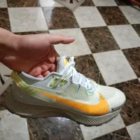 Chaussures Nike Pegasus trail 2