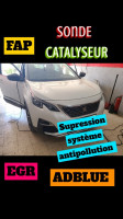 reparation-auto-diagnostic-desactiver-systeme-antipollution-fap-egr-adblue-boudouaou-boumerdes-algerie