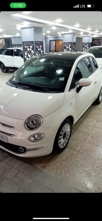 voitures-fiat-500club-2023-club-tlemcen-algerie