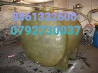    بلدية الكاليتوس