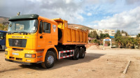 camion-shacman-15-ton-2019-chlef-algerie