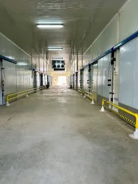 Chambres froide à louer 
