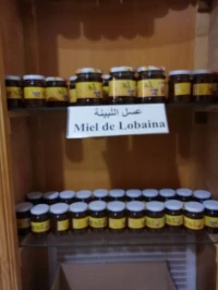  عسل اللبينة 500 غرام للعلبة 