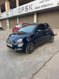 voitures-fiat-500-2024-blida-algerie