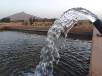 terrain-agricole-vente-el-bayadh-chellala-algerie