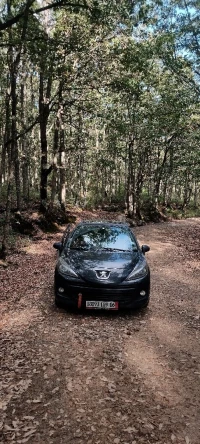 Peugeot 207 2009 Sportium