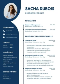 Rédaction CV professionnel 