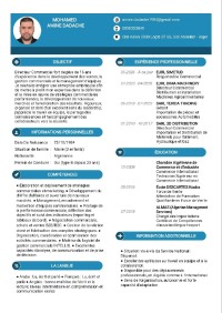 تجارة-و-مبيعات-directeur-responsable-commercial-المعالمة-الجزائر