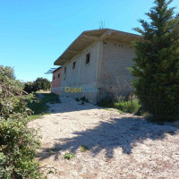 hangar-location-blida-djebara-algerie