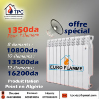 autre-radiateur-euro-flamme-italy-hraoua-alger-algerie