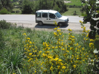 voitures-fiat-doblo-2008-break-souk-ahras-algerie