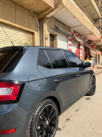 voitures-skoda-fabia-2020-ambition-miliana-ain-defla-algerie