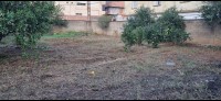 land-sell-alger-birkhadem-algeria