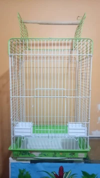 Cage perroquet 