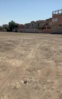 أرض-بيع-الجزائر-بئر-توتة